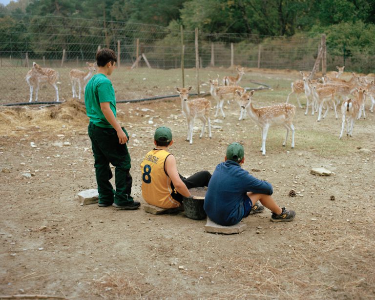 16_The boys and the deer